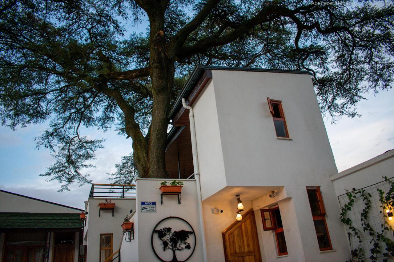 Choice Guest House 2 Addis Ababa Eksteriør billede
